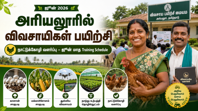 🌾 அரியலூரில் விவசாயிகளுக்கு நாட்டுக்கோழி வளர்ப்பு பயிற்சி – ஜூன் மாத Training Schedule வெளியீடு!