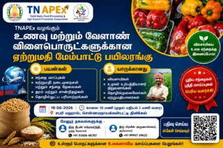 🌾 TNAPEx Export Promotion Training 2026: உணவு & வேளாண் பொருட்கள் ஏற்றுமதிக்கு சிறப்பு பயிற்சி!