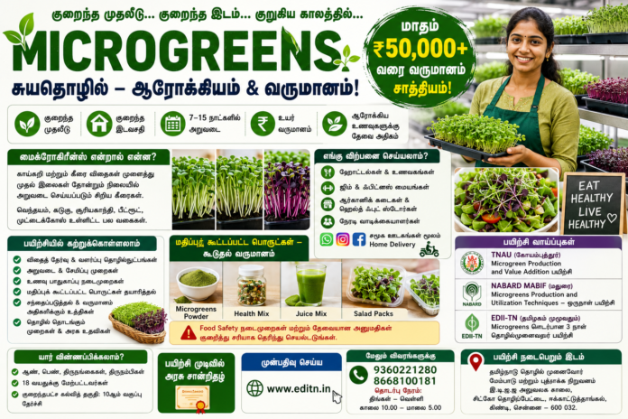 🌱 Microgreens Business 2026: குறைந்த முதலீட்டில் மாதம் ₹50,000 வரை வருமானம் பெறும் சுயதொழில் வாய்ப்பு!