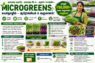🌱 Microgreens Business 2026: குறைந்த முதலீட்டில் மாதம் ₹50,000 வரை வருமானம் பெறும் சுயதொழில் வாய்ப்பு!