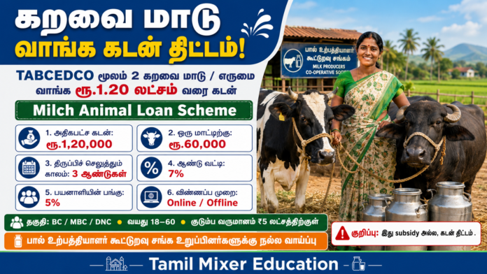 🐄 கறவை மாடு வாங்க ரூ.1.20 லட்சம் கடன்: TABCEDCO Loan Scheme விண்ணப்பிக்கலாம்!