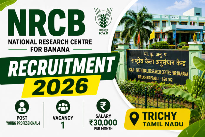 NRCB Trichy Recruitment 2026: B.E/B.Tech தகுதியில் Young Professional வேலை; ₹30,000 சம்பளம் 🍌
