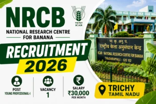 NRCB Trichy Recruitment 2026: B.E/B.Tech தகுதியில் Young Professional வேலை; ₹30,000 சம்பளம் 🍌