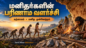 மனிதர்களின் பரிணாம வளர்ச்சி — தமிழ் வரலாற்றுப் பாட வழிகாட்டி, Tamil Mixer Education