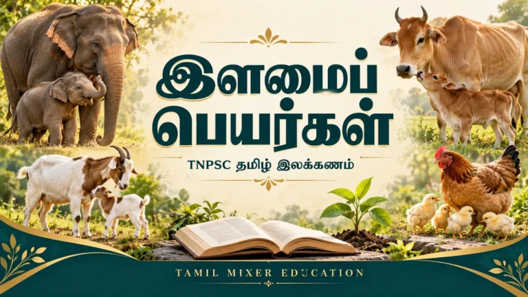 இளமைப் பெயர்கள் — யானைக் கன்று, பசுக் கன்று, ஆட்டுக் குட்டி, கோழிக் குஞ்சுகளுடன் TNPSC தமிழ் இலக்கணப் பாடம்